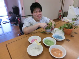 CIMG2310 こあ植物